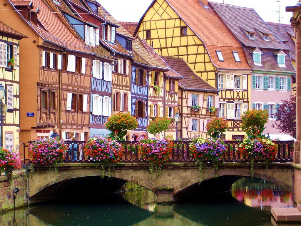 Jasmin Herrlisheim-près-Colmar