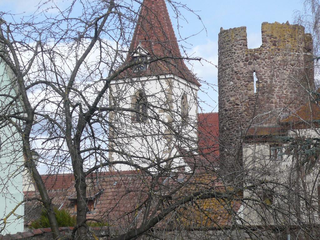 Jasmin Herrlisheim-près-Colmar